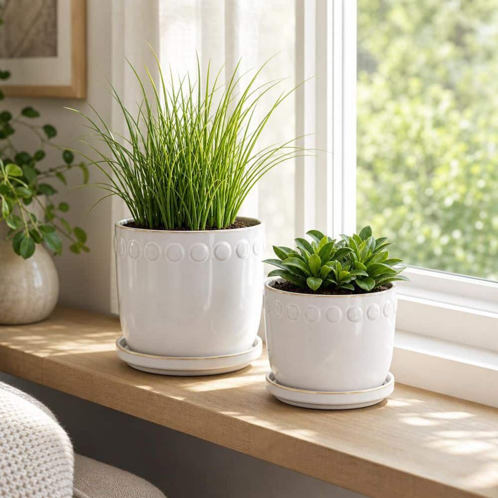 Liv & Skye 6 in. and 8 in. White Ceramic Bubble Trim Saucer