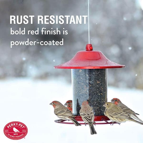 Red Sparkle Panorama Hanging Bird Feeder - 2 lb. Capacity