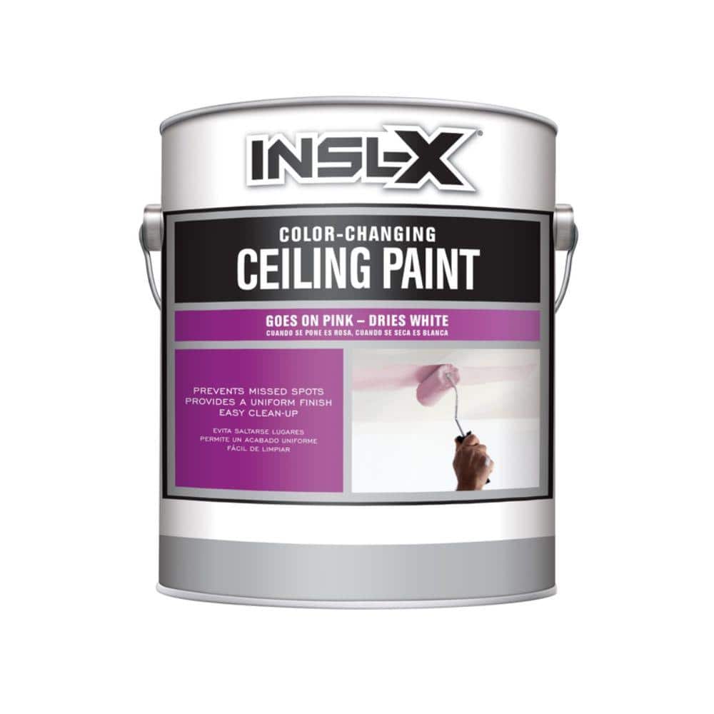 Insl X Color Changing Ceiling Paint 1 Gal Flat White Interior Paint