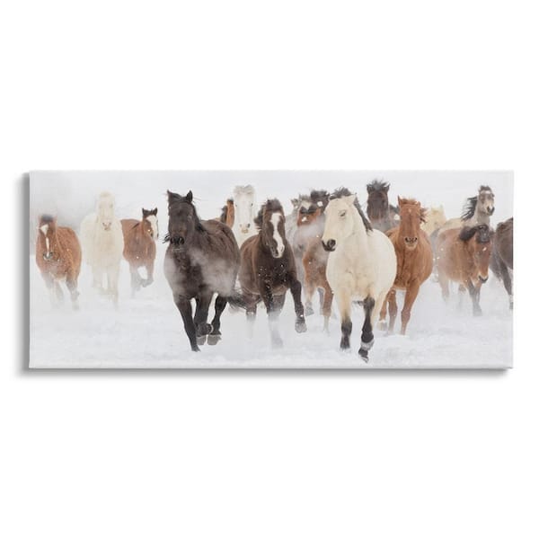 Horses Herd Foggy Winter Day Running Snow Painting By Danita Delimont Unframed Animal Art Print 48 in. x 20 in.