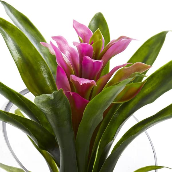 Bromeliad Marbled Pot Non Toxic Plant in South Milwaukee, WI - PARKWAY  FLORAL INC.