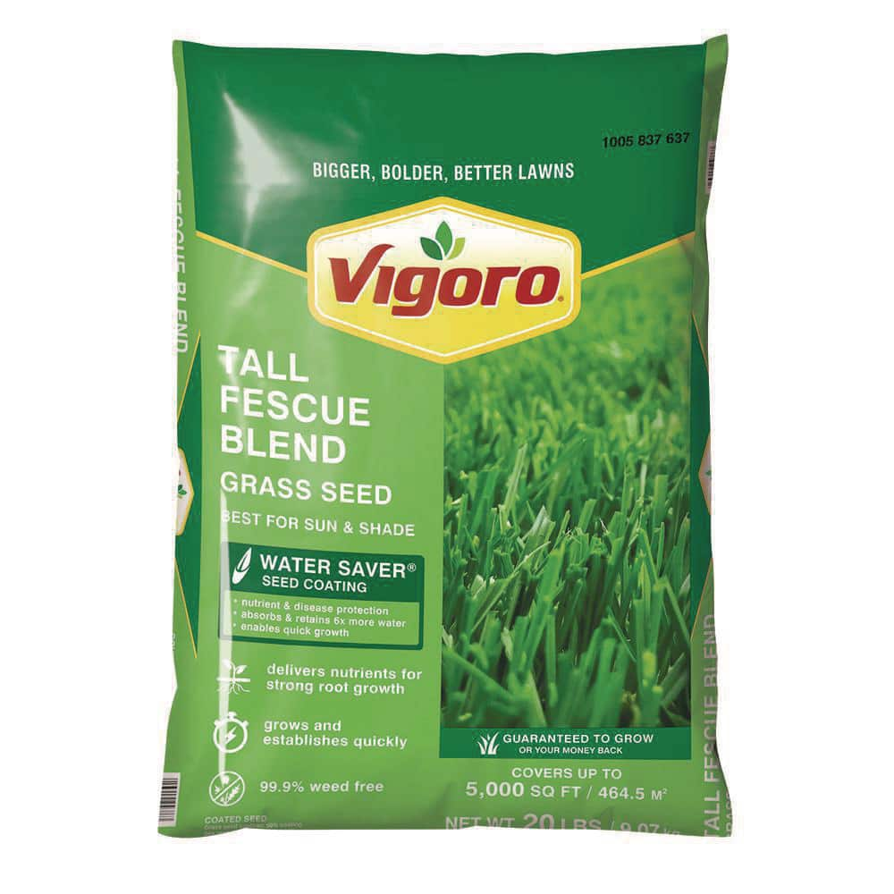 Vigoro 20 Lbs Tall Fescue Grass Seed Blend With Water Saver Seed Coating 25686 The Home Depot