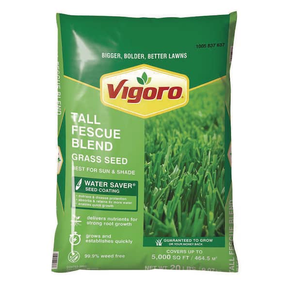 Vigoro 20 lbs. Tall Fescue Grass Seed Blend with Water Saver Seed Coating
