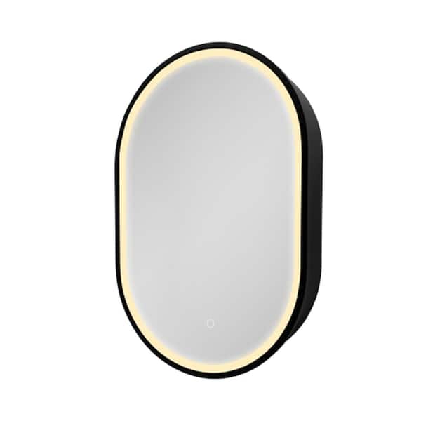 Unbranded 21 in. W x 31 in. H Oval Metal Framed Medicine Cabinet with Mirror 3-Color Lighting Anti-Fog and Spacious Storage, Black