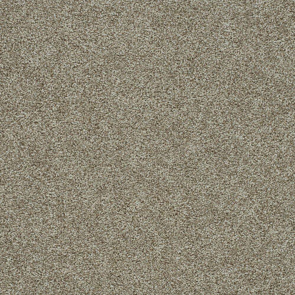 8 in. x 8 in. Texture Carpet Sample-Dewdrop I-Color Gentle price history on PriceWatchPro