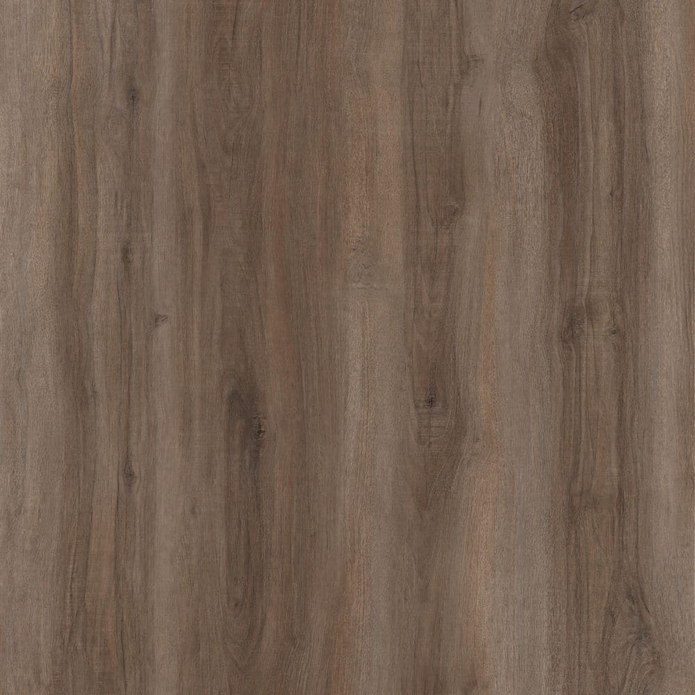 Take Home Sample-Butler Hickory Glue Down Waterproof Luxury Vinyl Plank Flooring price history on PriceWatchPro