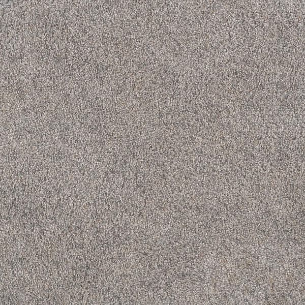 Home Decorators Collection Topaz I - Lazyday - Beige 40 oz. SD Polyester Texture Installed Carpet