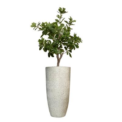 30" High Artificial Tung Tree With Fiberstone Planter