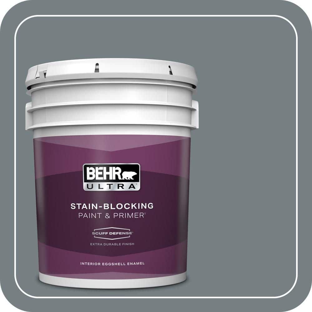 5 gal. #BNC-39 Peak Point Extra Durable Eggshell Enamel Interior Paint & Primer price history on PriceWatchPro