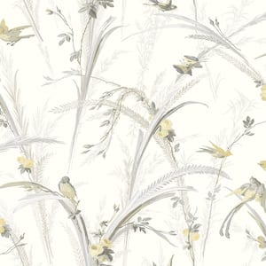 Meadowlark Yellow Botanical Yellow Wallpaper Sample