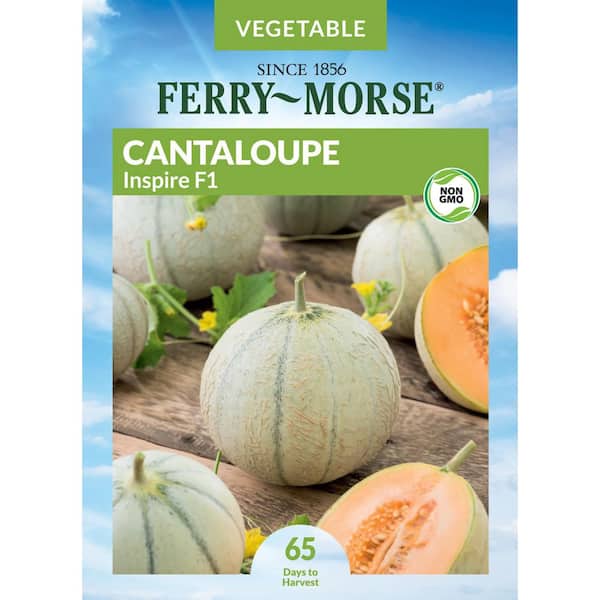 Ferry-Morse Cantaloupe Inspire F1 Fruit Seeds 9511 - The Home Depot