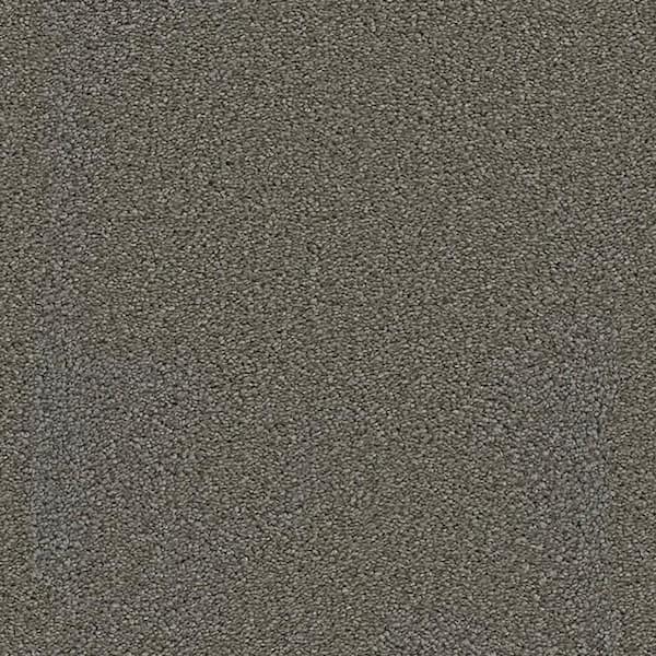 Lifeproof Carpet Sample - Harvest III - Color Venture Texture 8 in. x 8 in.