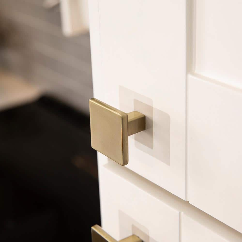 Elusive Golden Nickel Square Cabinet Knob with Mounting Hardware