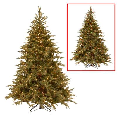 9 ft. Frasier Grande Artificial Christmas Tree with Dual Color LED Lights