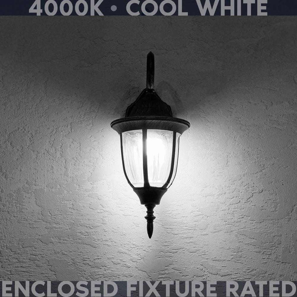 Clear Glass Dimmable LED Candelabra Bulbs, Set of 12