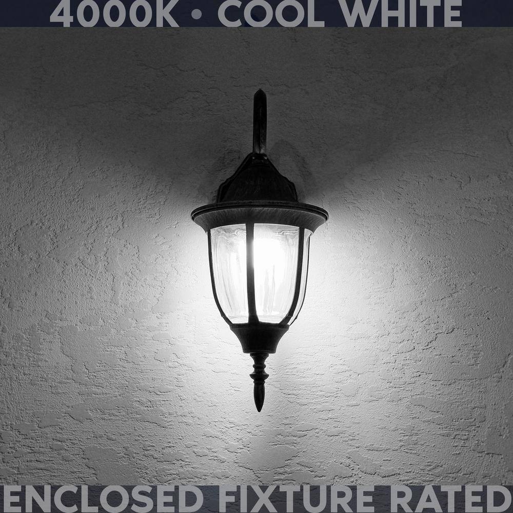 Clear Glass Dimmable LED Candelabra Bulbs, Set of 12