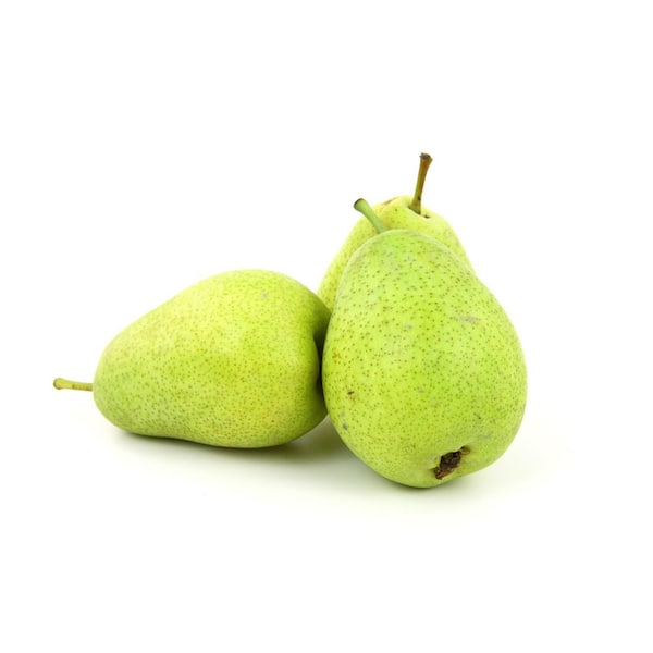 Organic Anjou Pears Information and Facts