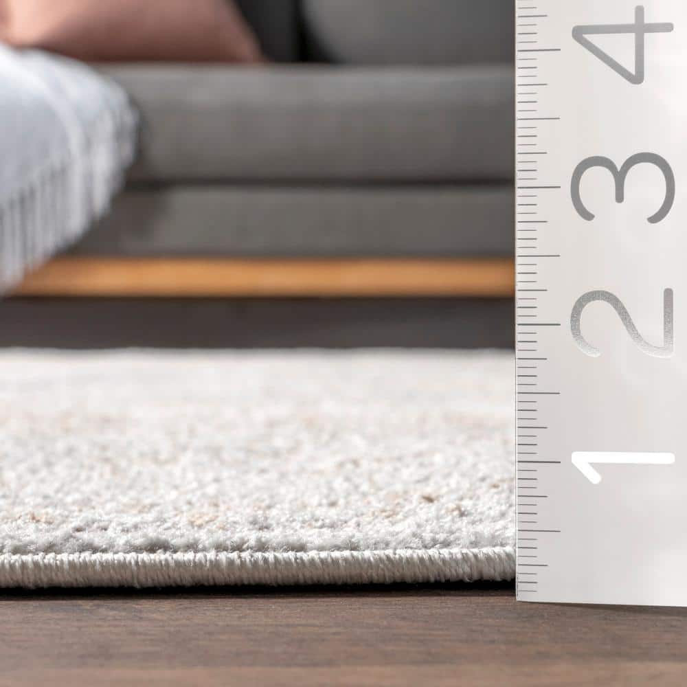 Elegant Vintage Floral Gray 9' x 12' Synthetic Area Rug