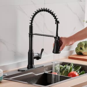 Single Handle Pull Down Sprayer Kitchen Faucet with Deck Plate in Oil Rubbed Bronze