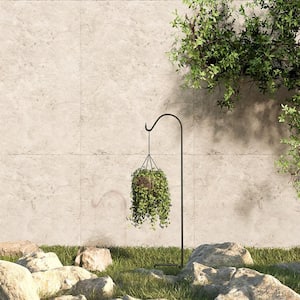 Fuchsia 48 in. Black Steel Shepherd Hook