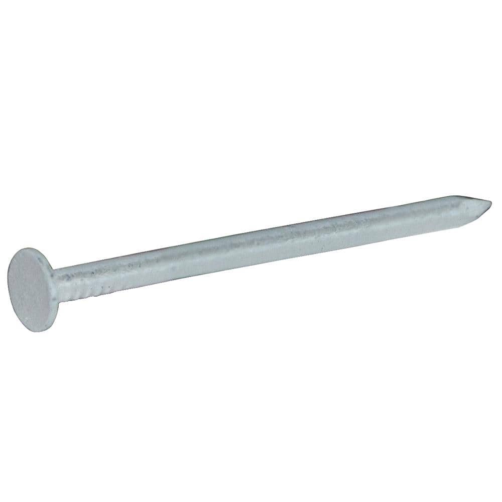 GripRite 15 x 11/4 in. 3penny 304 stainless Steel WhiteCoated Trim