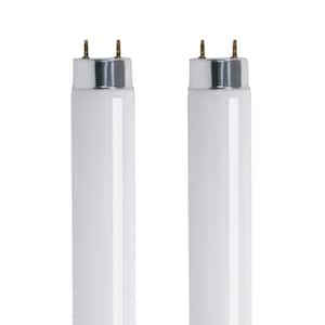 32-Watt 4 ft. T8 G13 Linear Fluorescent Tube Light Bulb, Daylight 5000K (2-Pack)