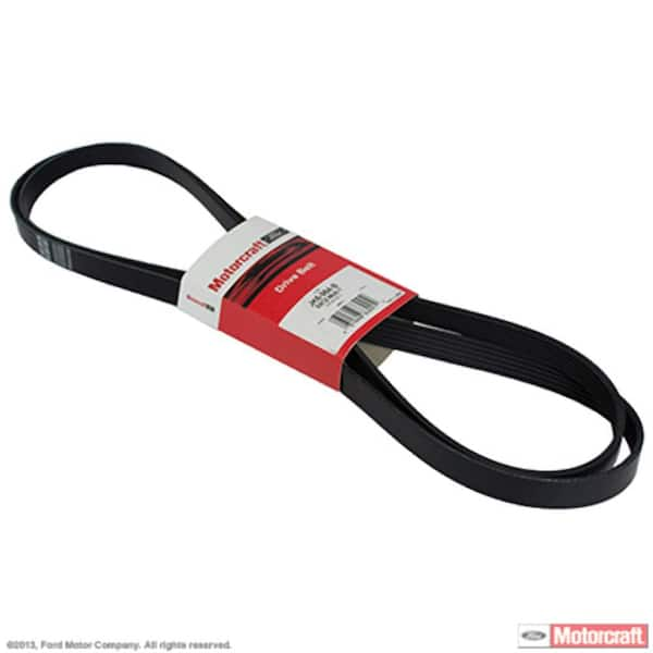 Motorcraft serpentine outlet belt