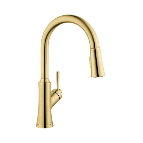 Joleena Single Handle 16 in. Pull Down Sprayer Kitchen Faucet 150-Degree Swivel in Brushed Gold Optic