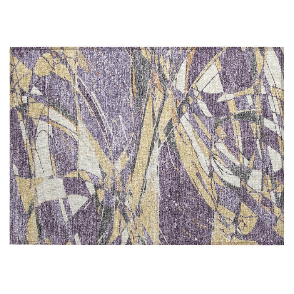 Chantille Machine Washable Indoor/Outdoor Abstract ACN2862 Plum 3 ft. x 4 ft. Area Rug price history on PriceWatchPro