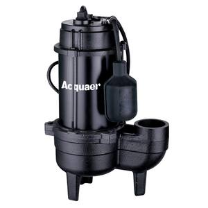 1/2 HP Cast Iron Sewage Effluent Pump