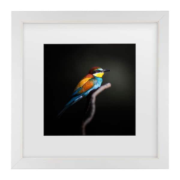Trademark Fine Art Fegari Colorful Darkly Matted Framed Photography Wall Art 13 in. x 13 in