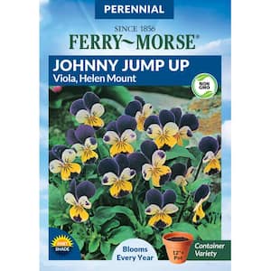 Johnny Jump Up Viola Helen Mount Flower Seed