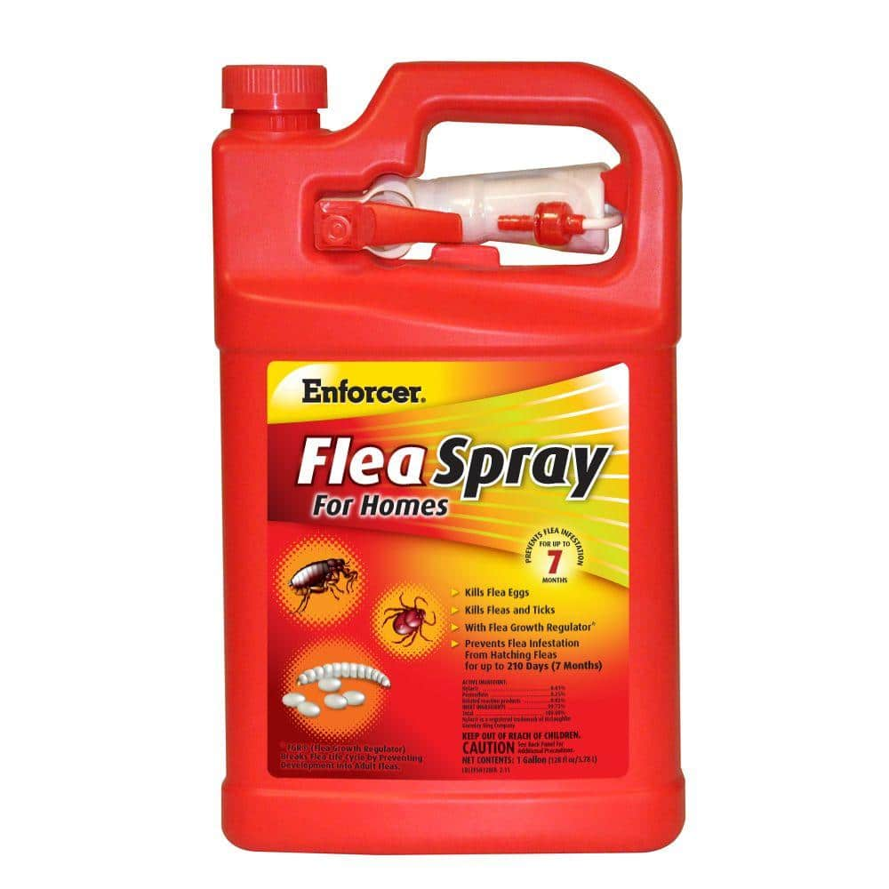 ENFORCER 1 Gal. Flea Spray For Homes EFSH128 - The Home Depot