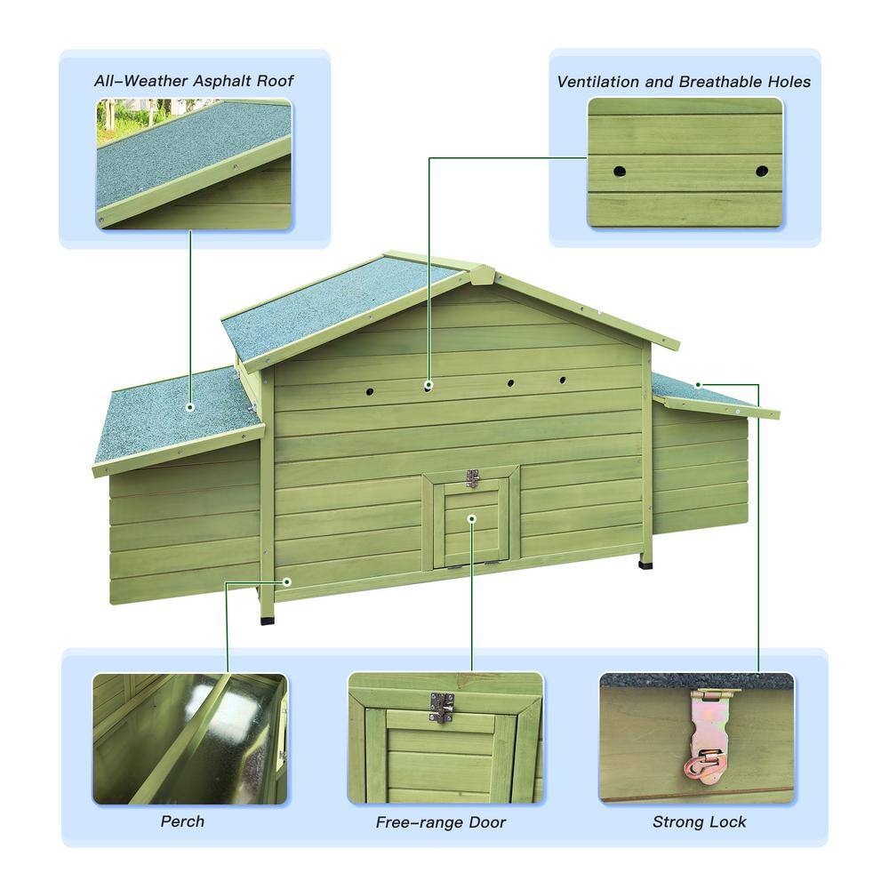 Large Green Wooden Chicken Coop with Nesting Boxes