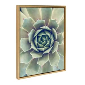 Sylvie "Succulent 1" by F2 Images Framed Canvas Wall Art