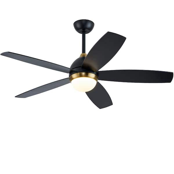 FIRHOT 52 In. Black Indoor Ceiling Fan with Lights Remote Control, 6 Speeds 3 Color Light, Changeable leaf color