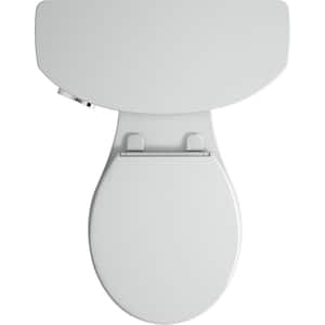 Cimarron 12 in. Rough In 2-Piece 1.6 GPF Single Flush Round Toilet in Ice Grey Seat Not Included