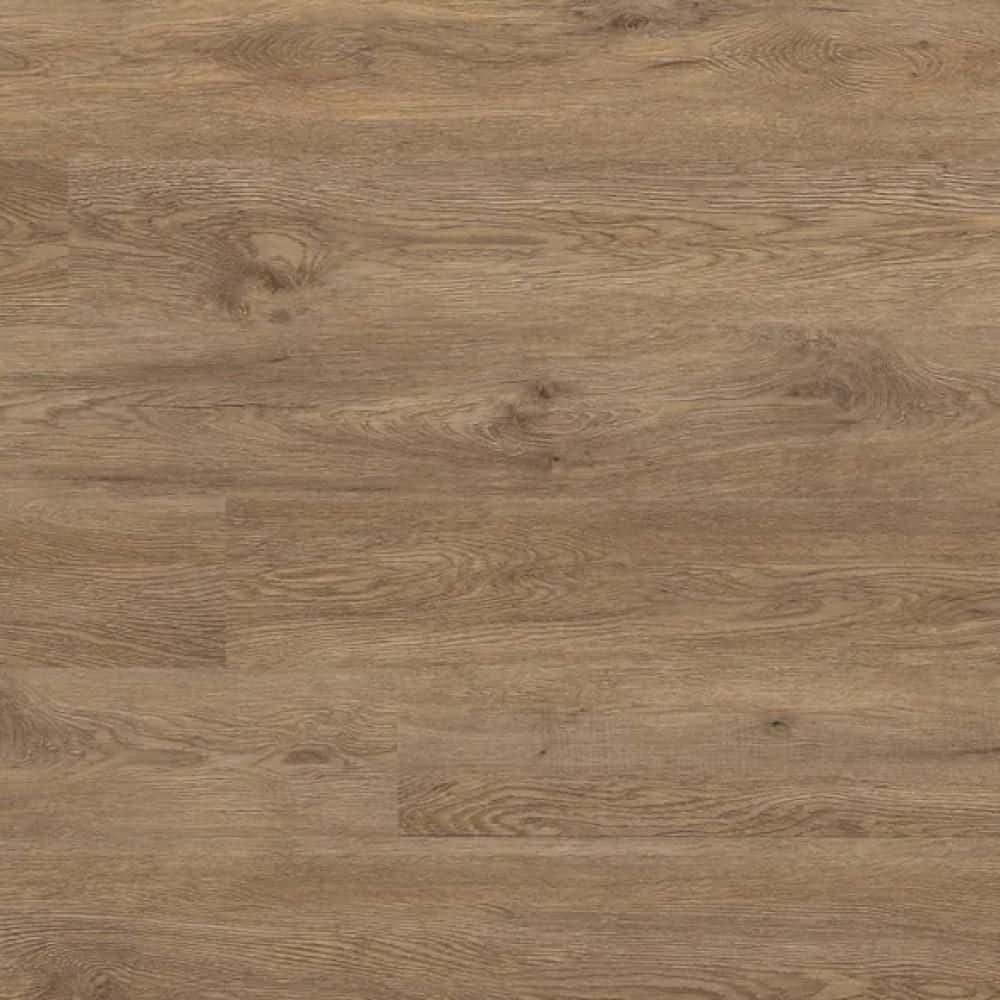 Take Home Sample - Century Oak Glue-Down Water Resistant Luxury Vinyl Plank Flooring price history on PriceWatchPro