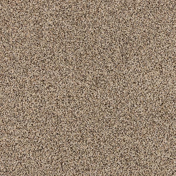 TrafficMaster Household Hues II Gable Brown 41 oz. Polyester Textured Installed Carpet