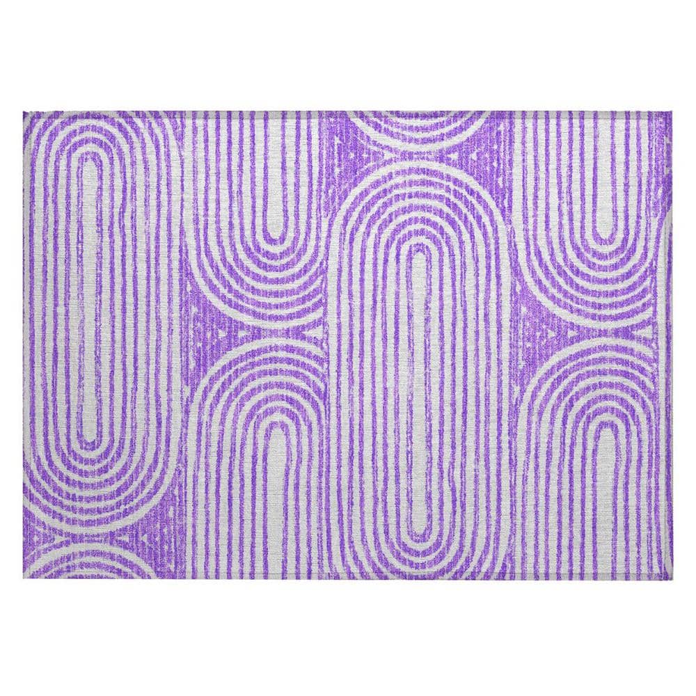 Purple and White 2 ft. x 3 ft. Woven Abstract Rectangle Indoor/Outdoor Area Rug price history on PriceWatchPro