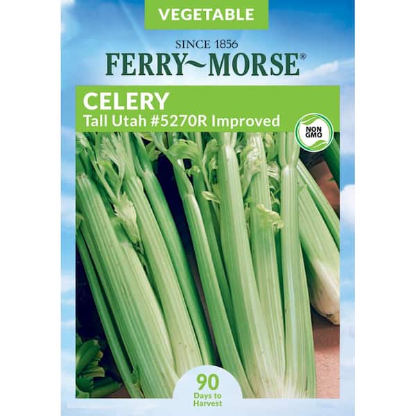 Ferry-Morse Celery Tall Utah #5270R Improved Vegetable Seed