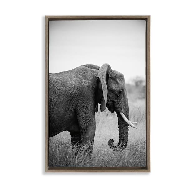 Stupell Industries Side Profile Elephant by Sharon Vardy Brown Floater Frame Animal Graphic Art Print 25 in. x 17 in.
