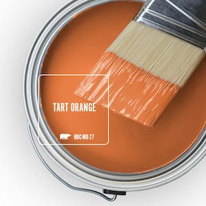 Home Decorators Collection HDC-MD-27 Tart Orange Paint