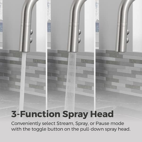 Pfister Zanna Pull Down Sprayer Kitchen Faucet with Deckplate and