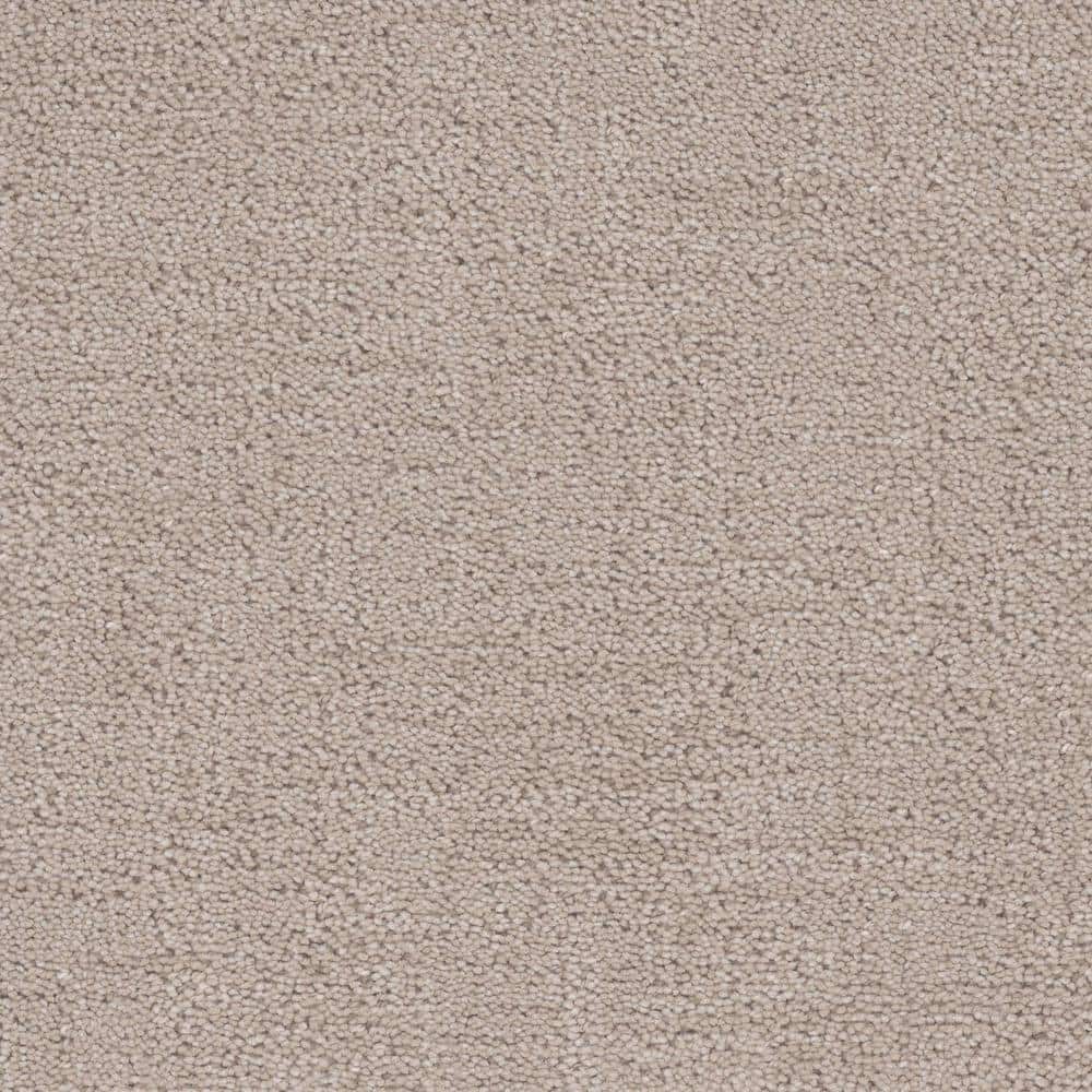 8 in. x 8 in. Pattern Carpet Sample - Wheatfield - Color Porcelain price history on PriceWatchPro
