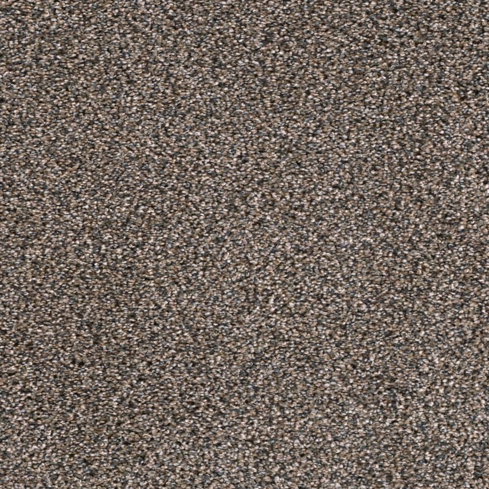 8 in. x  8 in. Texture Carpet Sample - Affectionate II -Color Trusty price history on PriceWatchPro