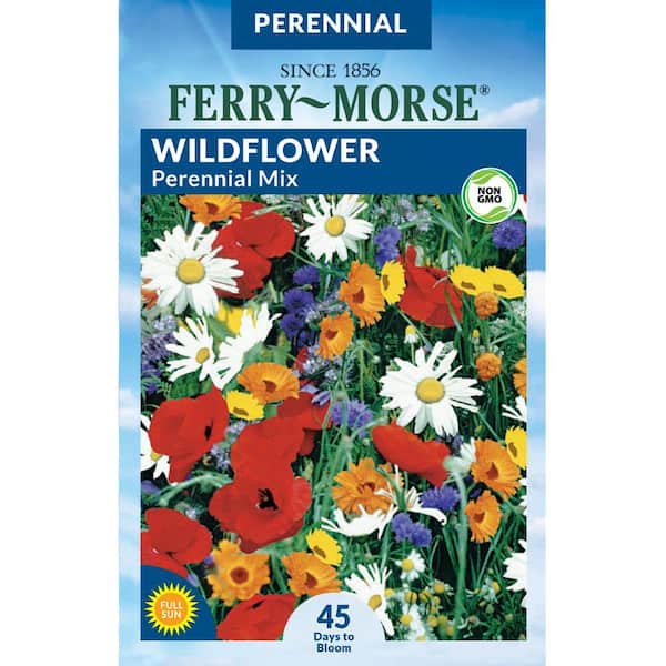 Ferry-Morse Wildflower Perennial Mixture Flower Seed