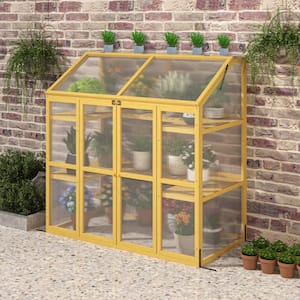 53.15 in. W x 27.76 in. D x 53.94 in. H Wood Cold Frame Greenhouse for Outdoor