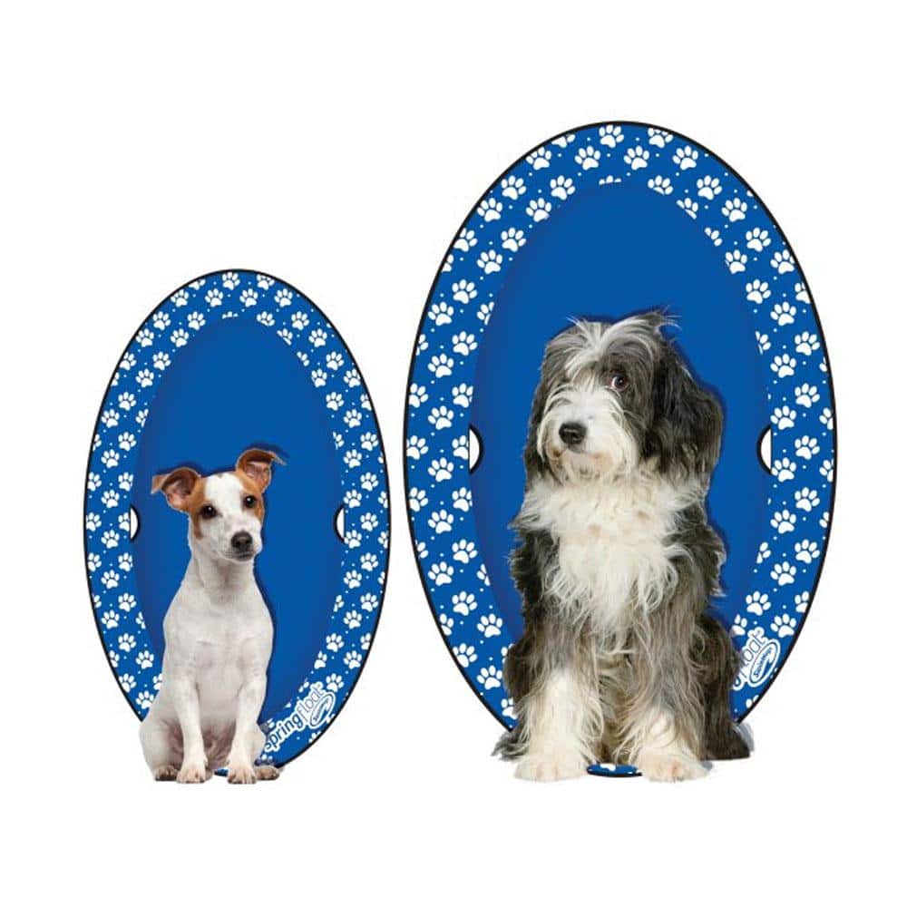 SwimWays Spring PVC Large Float Paddle 