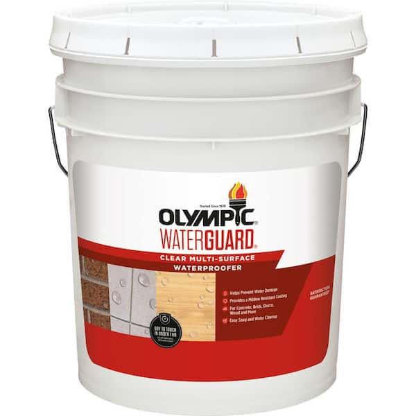 Olympic WaterGuard 5 gal. Clear Multi-Surface Exterior